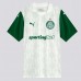 Palmeiras Mens Away Jersey 25-26