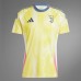 Juventus Mens Away Jersey 24-25