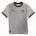 Portugal Mens Goalkeeper Gray Jersey 25-26 